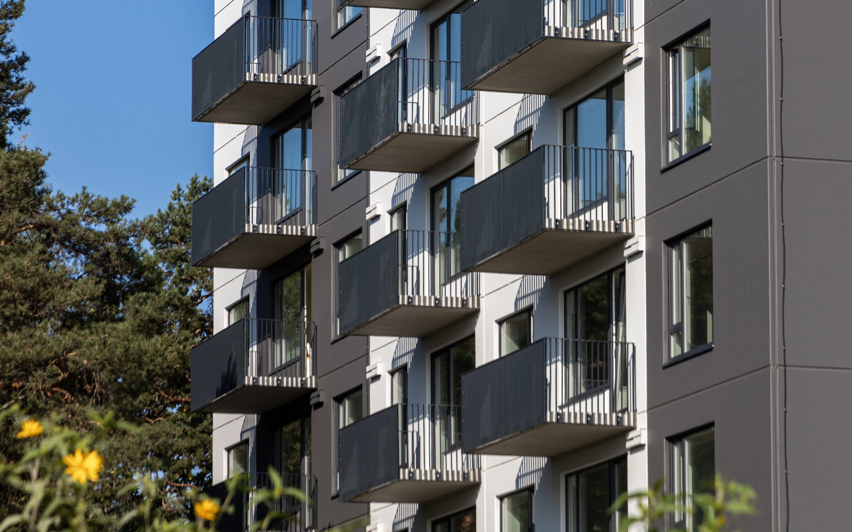 Ieguvumi, dzīvojot Pillar jaunajā projektā