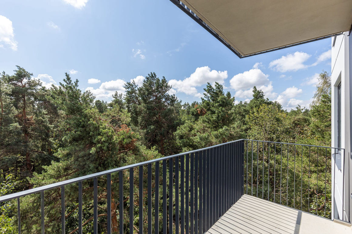 Pillar Dreilinu Priedes Demo 15