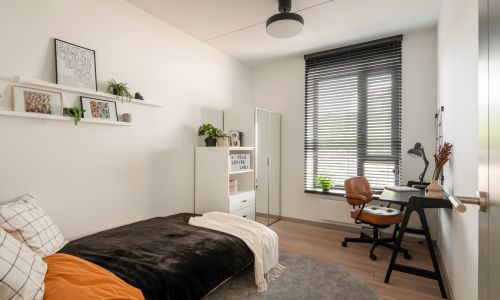 Pillar Mežciema Mājas Demo