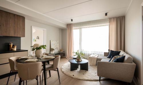 Pillar Mežciema Mājas Demo