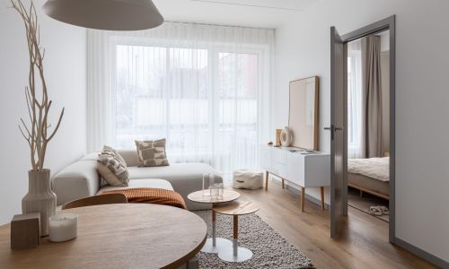 Dārzciema liepas demo 9