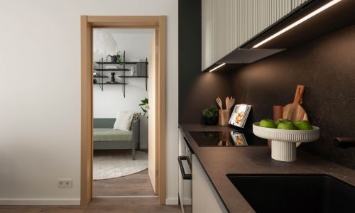 Pillar Mežciema Mājas Demo